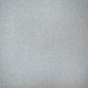 Monochrome 53015-5 Винил.обои горяч.тиснения на бумажной основе; 0,53х10,05 м